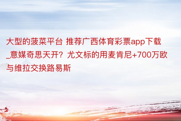 大型的菠菜平台 推荐广西体育彩票app下载_意媒奇思天开？尤文标的用麦肯尼+700万欧与维拉交换路易斯